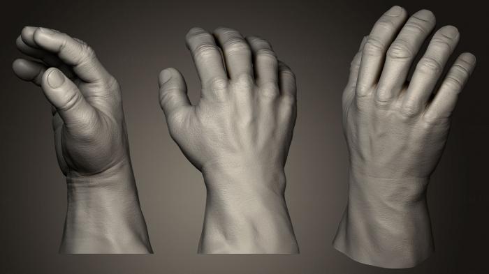 نموذج ثلاثي الأبعاد لآلة CNC تشريح الهياكل العظمية والجماجم اليد البشرية 4